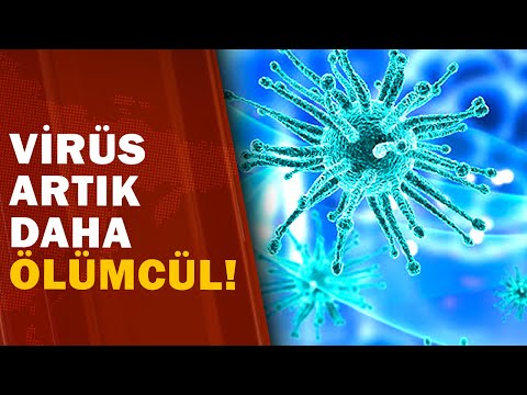 Virüs Mutasyona Uğradı! Eskisinden Daha Ölümcül!  / A Haber | A Haber