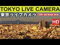 【東京ライブカメラ】TOKYO LIVE CAMERA. Mt'Fuji from Tokyo 富士山 紅富士 赤富士 東京からの富士山 #東京ライブカメラ #富士山東京 #東京夜景