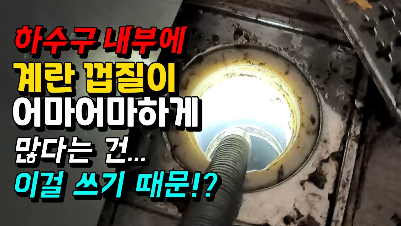 빌라 세탁실 역류, 처진 관의 계란껍질·기름 제거 현장 영상 썸네일