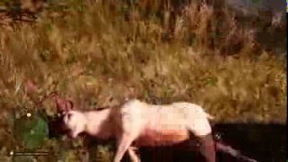 Far Cry® Primal - Easy Rare White Deer Location Far Cry® Primal - Easy Rare White Deer Location