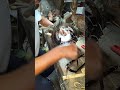 10 hp havells 1440 rpm motor winding l how electric motor works l how the alternators works l