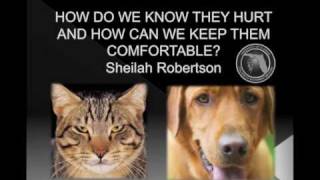Pain Management in Animal Shelters - How Do We Know They Hurt - Chapter 1