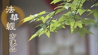 【靜思妙蓮華】法華經方便品 - 契合佛心 隨宜說法 - 20200908 第455集