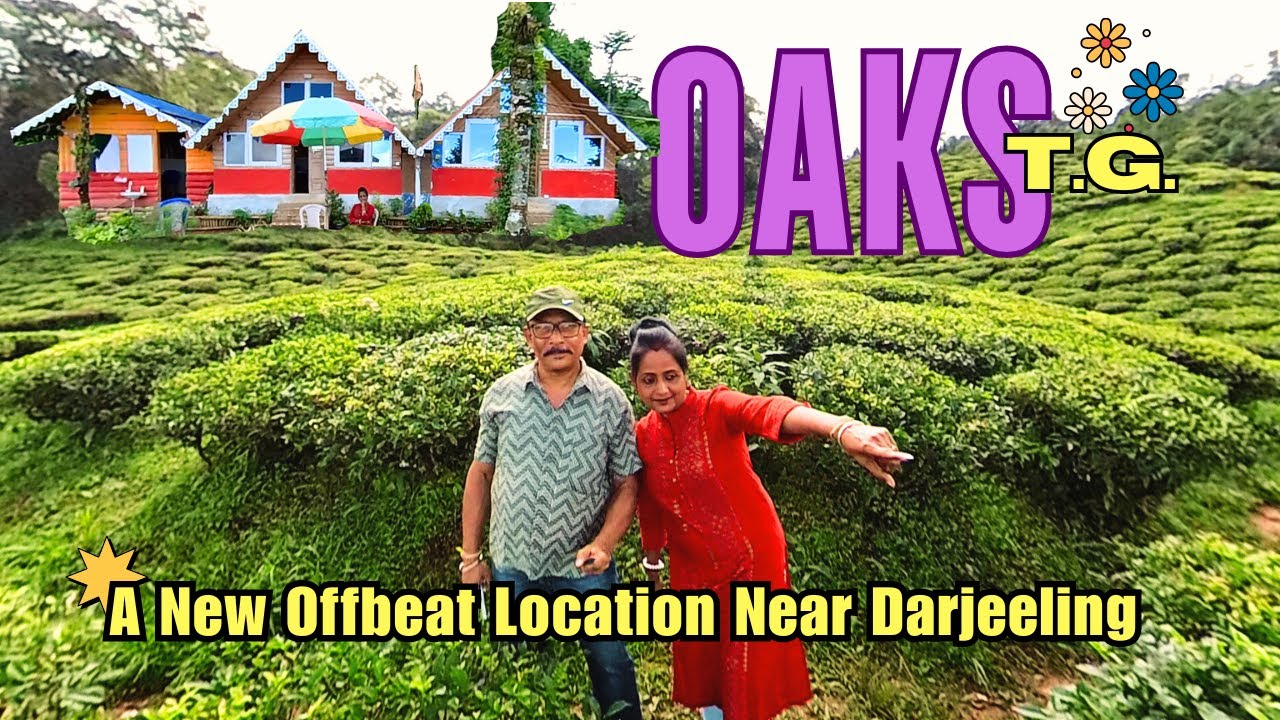 Oaks Tea Garden | EP-1 | Beauty of Oaks Tea Estate | Cheeya Bari Oaks ...