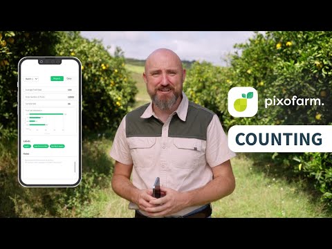 Pixofarm | Counting