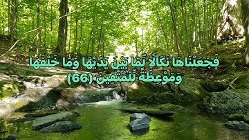 القرآن الكريم سورة البقرة🌸المنشاوي فَجَعَلْنَاهَا نَكَالًا لِّمَا بَيْنَ يَدَيْهَا وَمَاخَلْفَهَا🌺