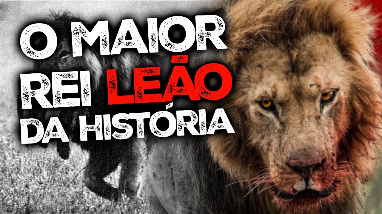 A Dinastia de um Rei Leão - NOTCH O MAIOR LEÃO DA HISTÓRIA ...