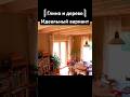 Дом, где уют - уют где экология #стройка #экология #reuse
