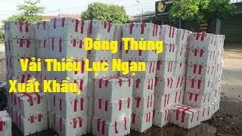 Quy Cách Đóng Thùng Vải Thiều Xuất Khẩu, Vào Miền Nam I Núi Đồi Lục Ngạn