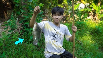 Trở Lại Tuổi Thơ Với Chiếc Cần Câu Cá Bằng Tre