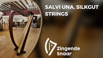Salvi Una, silkgut strings