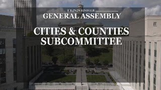 House Cities & Counties Subcommittees- February 19, 2025- House Hearing Room 2