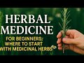 Herbal Medicine for Beginners: Where to Start with Medicinal Herbs