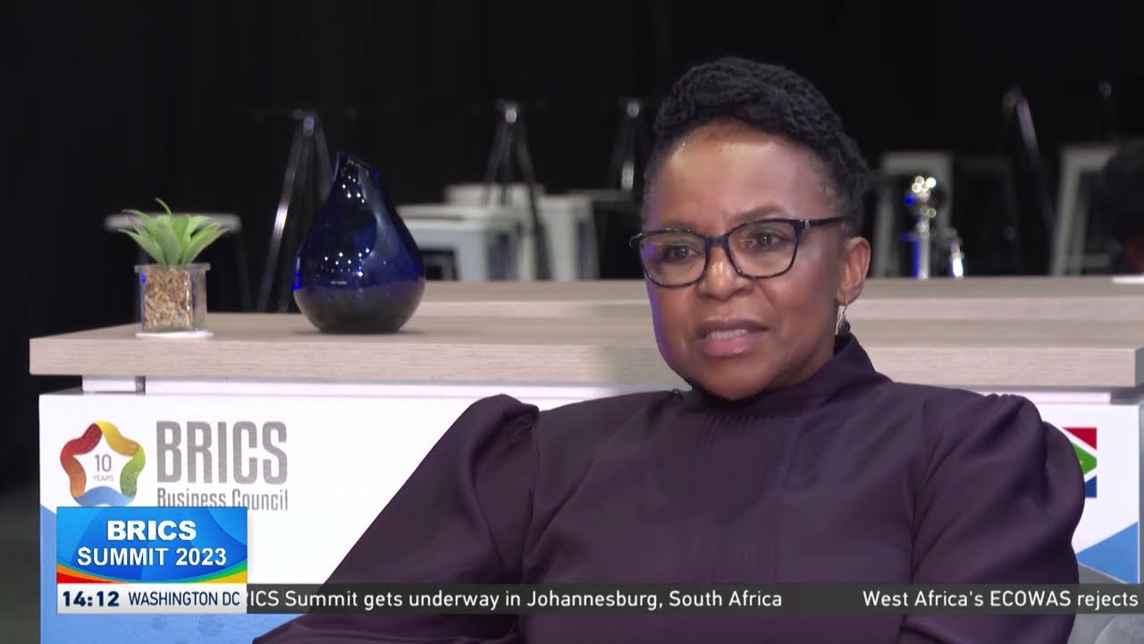 BRICS Business Council members big part of discussions