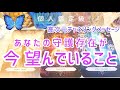 守護存在が今あなたに望んでいること👸高次元チャネリングメッセージ💙個人鑑定級🌹