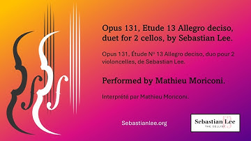 Sebastian Lee op131 Etude N° 13 Allegro deciso, performed by Mathieu Moriconi