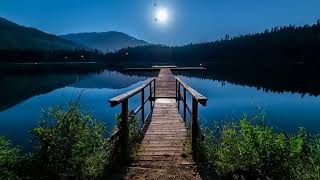 Firefly Light | Meditation | Relaxation