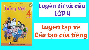 Luyện tập về cấu tạo của tiếng - Luyện từ và câu lớp 4