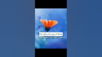 قرآن كريم القرآن الكريم #القرآن_الكريم #اكسبلور #quran #لايك #سبحان_الله #قرآن #القرآن  #سبحان_الله