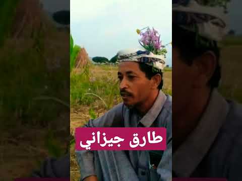 طارق من جيزان 