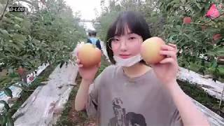 [VIETSUB][Tập 19] GFRIEND - G-LOG #19
