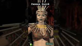 Cannea Sucrfally Ipupa English S englishtranslation fallyipupa