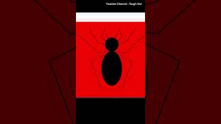 Spider Web Art in MATLAB 🕷️🕸️ #spiderweb #math #coding #animation  #spiderman #geometry #calculus