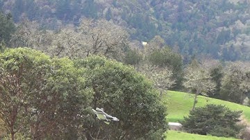 F22 Raptor Scratch Built Plane