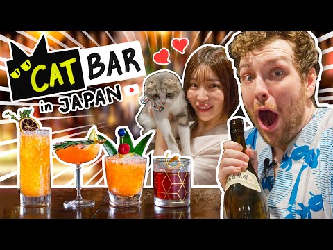I Tried Working At Japan's Cat Bar Ft. Shibuya Kaho