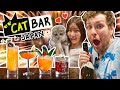 I Tried Working At Japan&#39;s Cat Bar Ft. Shibuya Kaho