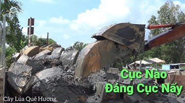 Xe 09 Cuốc Đất Cục Nào Đáng Cục Nấy