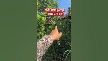 Nhà vườn nghĩ dưỡng gần biển Lộc an #bbds #nhadep #batdongsan #tintucbds