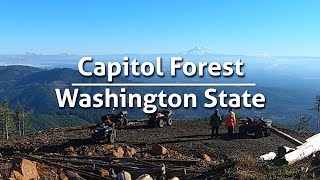 Capitol Forest ATV Trail Ride  Washington State (11/2023)