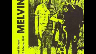 Melvins - Goin&#39; Blind (Live 1987)