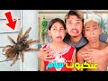 للأسف عنكبوت سام دخل علينا للقصر منتا من الخلعة للأسف عنكبوت سام دخل علينا للقصر منتا من الخلعة