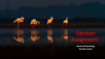 Random Assignment ( ABNORMAL PSYCHOLOGY 4K )