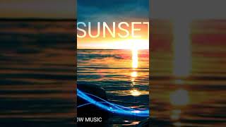 "Sunset" - out now 🤩 #progressivehouse #music #shorts #djshadowmusic #reccomended #newsong2022 #edm