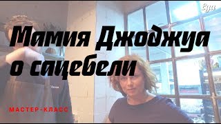 О сацебели — Мамия Джоджуа О сацебели — Мамия Джоджуа
