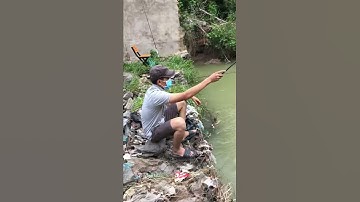 Cau ca thu gian duoi cong