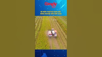 Sẽ miễn thuế sử dụng đất nông nghiệp đến năm 2030 #shorts #baocongly #tintuc