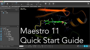 Maestro 11 - Quick Start Guide