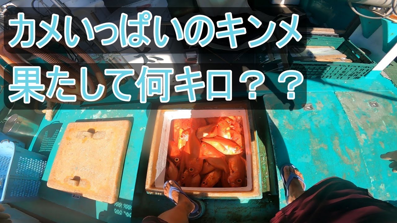 【水揚げ量公開！】台風でみんなお休みの中、抜け駆けし日帰り出船した結果・・・・【八丈島】【キンメ漁】【釣り】