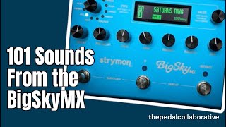 ALL the Presets From the Strymon BigSkyMX //#stereoreverb #npd #dualreverb