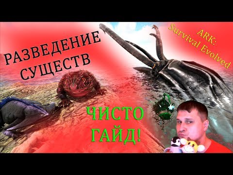 Wideo: Porozmawiajmy O Kontrowersyjnej Podwyżce Cen Ark: Survival Evolved