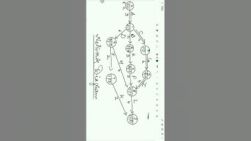 #network  #diagram #project  #cpm #PERT #short