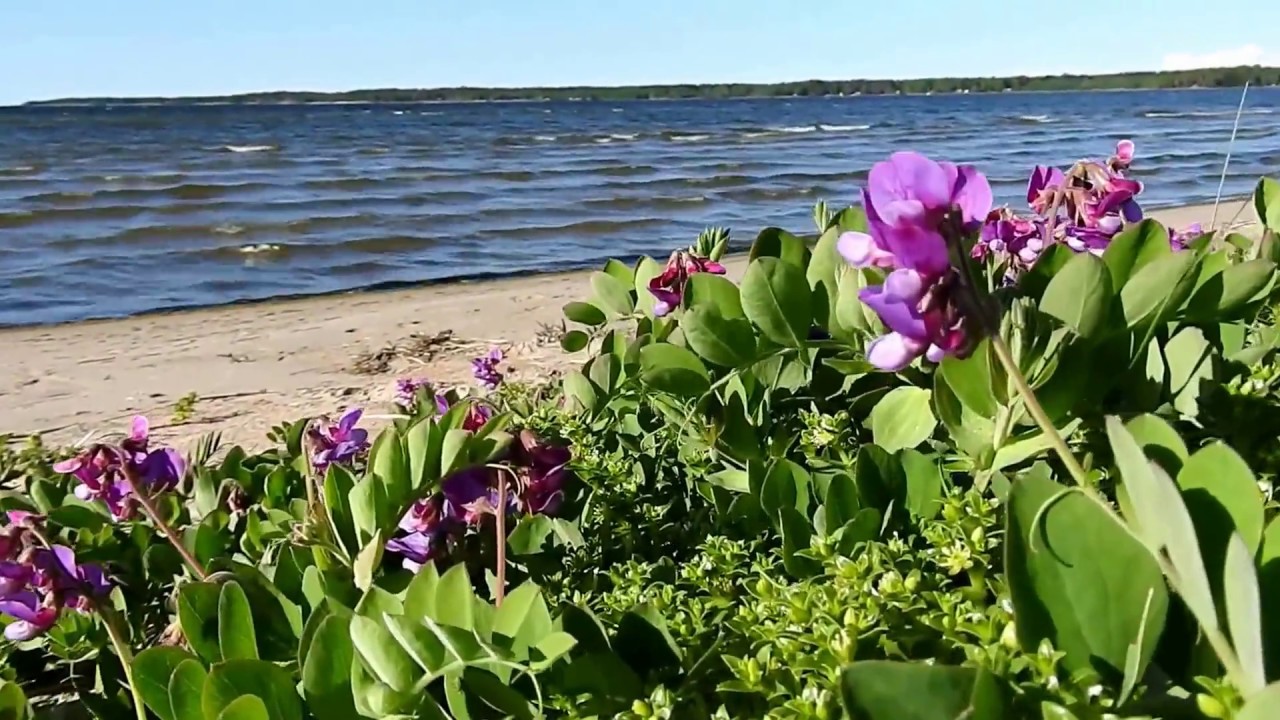 Storsand Monäs Finland 29.6.2017