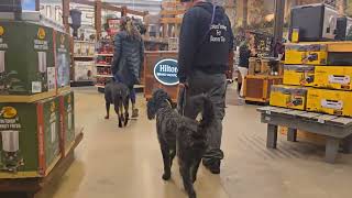 Brock And Roxy Bastro Shops.