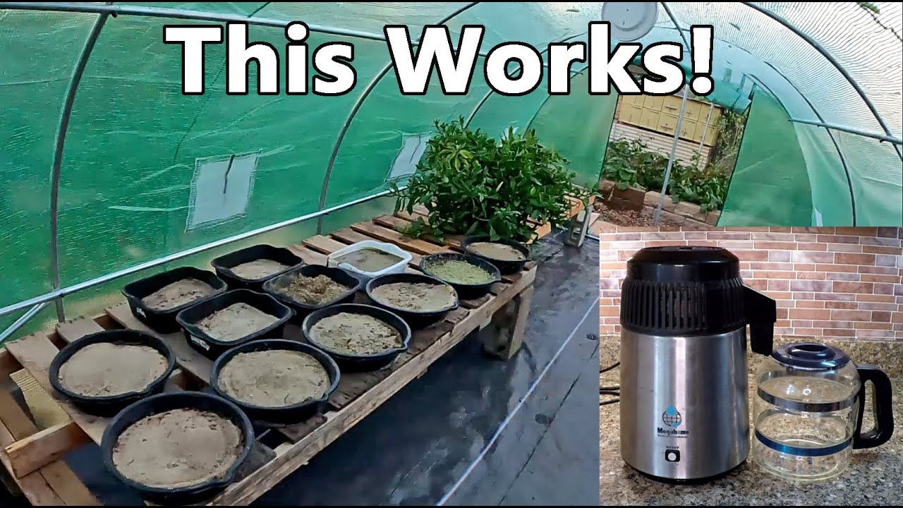 Successfully Heating A 200 sq. ft. Greenhouse Using A Countertop Water