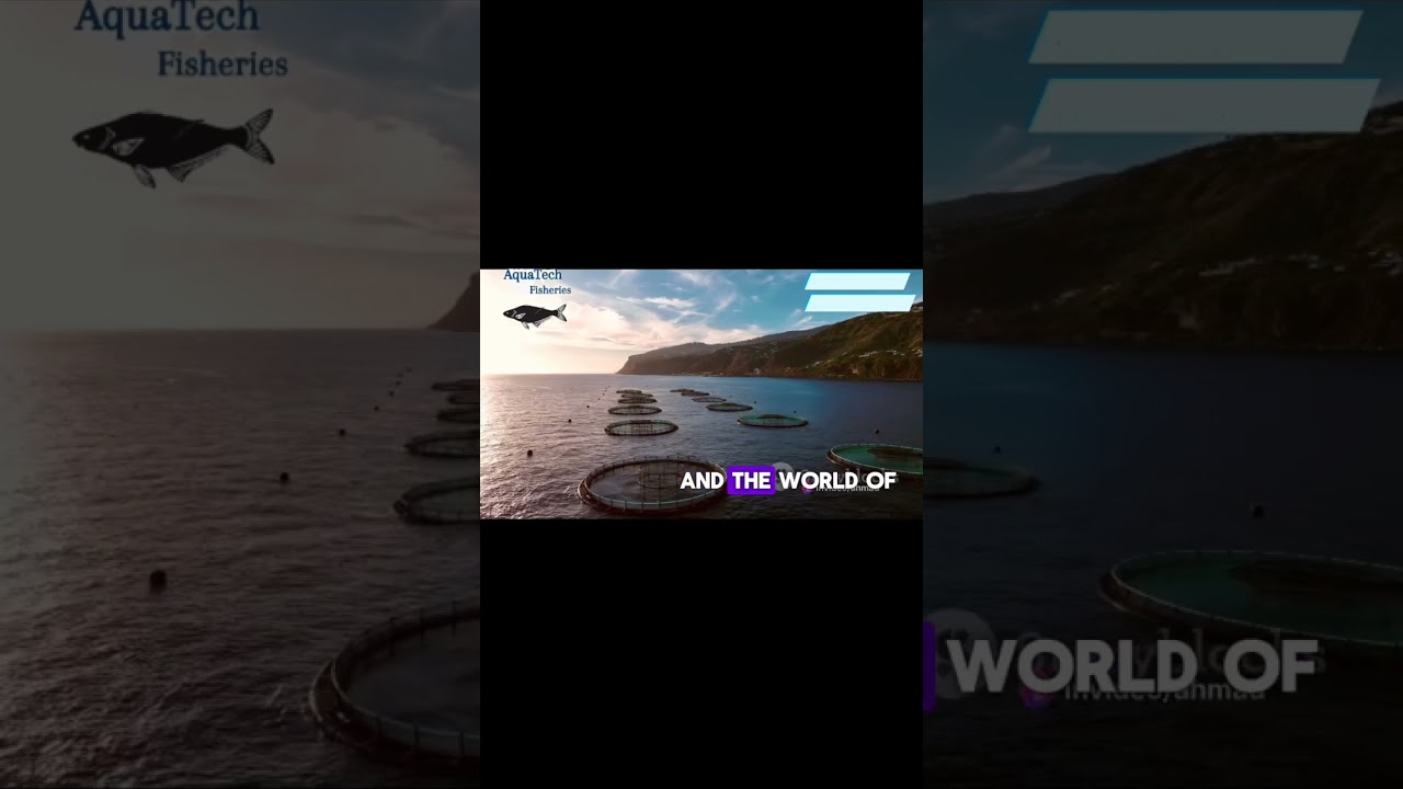 Dive into AquaTech Fisheries: Your guide to Fish Farming | Our Promo 🐠