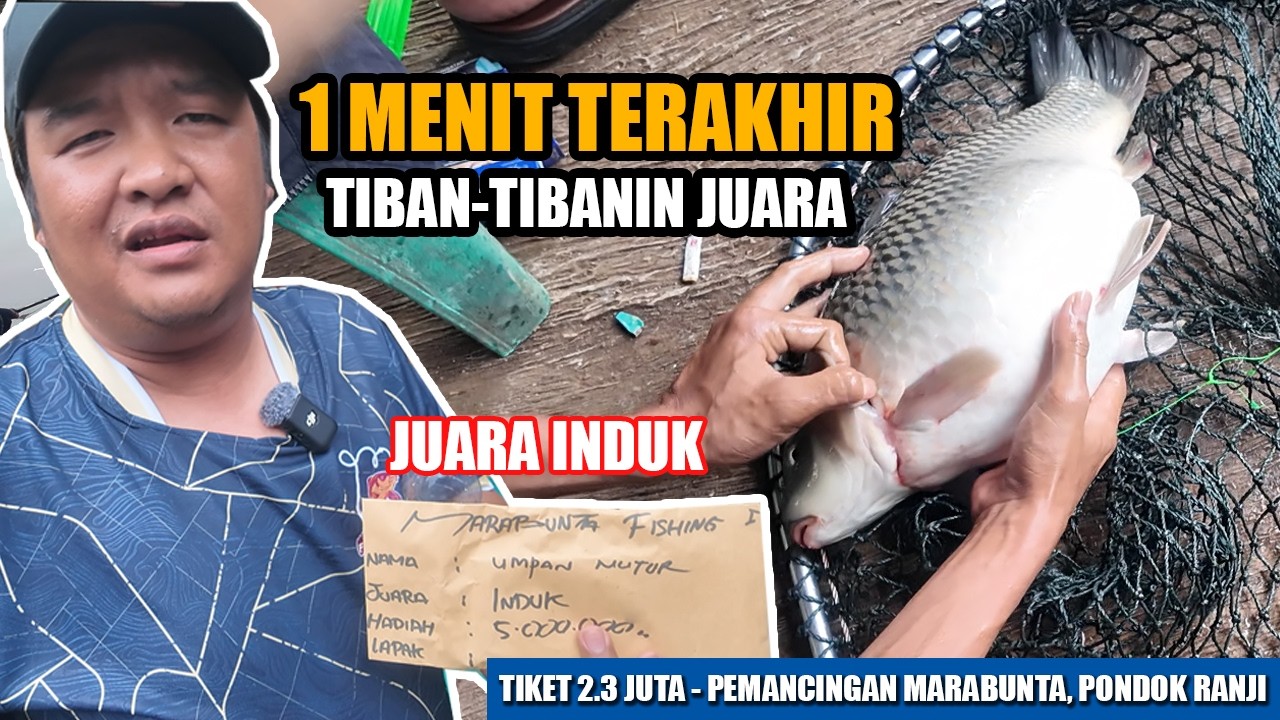 LAPAK POJOK YANG BIKIN DEG-DEG AN, UDAH PASRAH GAK TAUNYA 1 MENIT TERAKHIR NIBAN INDUK PARA JUARA‼️